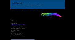 Desktop Screenshot of braendlelab.net