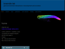 Tablet Screenshot of braendlelab.net